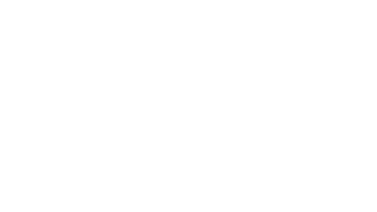 BarÇa