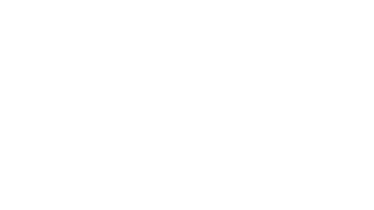 logo schechers